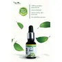 Truly Essential 100% Pure & Natural Basil Oil 15 ml, 6 image