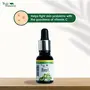 Truly Essential 100% Pure & Natural Basil Oil 15 ml, 4 image