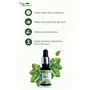 Truly Essential 100% Pure & Natural Basil Oil 15 ml, 5 image