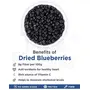 True Elements Blueberry 125g - Vitamin Rich Blue berries | Healthy Snack | Blueberry Dry Fruit, 5 image