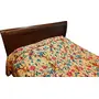 Vermilion Lifestyle Kantha stitch Pure Cotton Bed cover/AC Quilt - King Size 90x108 In Beige, 4 image