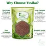 YUVIKA Lajwanti Seeds - Chuimui - Mimosa Pudica - Sensitive Plant Seeds (400 Grams), 4 image