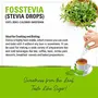 Zindagi FosStevia - Stevia Liquid Extract - 100% Natural Sweetener - Table Top Stevia Sugar-Free (400 Servings), 6 image