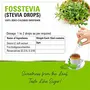 Zindagi FosStevia - Stevia Liquid Extract - 100% Natural Sweetener - Table Top Stevia Sugar-Free (400 Servings), 5 image