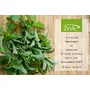 Zevic Erythritol 100% Natural Sweetener | Vegan & Zero Calorie | Keto & Diet Friendly 900gm, 5 image