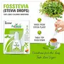Zindagi FosStevia - Stevia Liquid Extract - 100% Natural Sweetener - Table Top Stevia Sugar-Free (400 Servings), 4 image