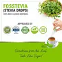 Zindagi FosStevia - Stevia Liquid Extract - 100% Natural Sweetener - Table Top Stevia Sugar-Free (400 Servings), 7 image
