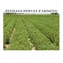 Zindagi FosStevia - Natural Zero Calorie Sweetener - Sugar-Free Stevia Liquid - 1000 Servings (Buy 4 Get 1 Free), 6 image