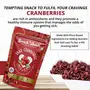 SnackAmor Healthy Snacks | Healthy Seed Mix & Dried Cranberries| SEED FOR WEIGHT MANAGEMENT| IMPROVED DIGESTION |MUSCLE BUILDING | PROTEIN SNACK | High Antioxidant | Great for Salad (Pack of 2), 7 image