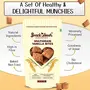SnackAmor Healthy Bites Nutrients & Immunity Booster Snacks Delicious & Healthy Snack 100% Vegetarian Product ( Pack Of 3 100 Grams Each ) (Vanilla), 7 image