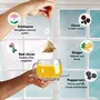 TeaTreasure Cold Care Tea Blend of Turmeric Ginger Mulethi Elaichi Rama Tulsi & Many More for Better Immunity - 1 Teabox ( 18 Pyramid Tea Bags ), 2 image