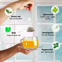 Tea Treasure Super Mint Green Tea - Antioxidants Rich Refreshing Tea - 1 Teabox ( 18 Pyramid Tea Bags ), 4 image