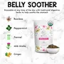 Tea Treasure Organic Belly Soother Tea - 100 Gm - Detox Tea Blend of Rooibos Peppermint Fennel & other natural herbs | Slimming Tea for Constipation and Digestive Health | Zero Calories Tea, 5 image