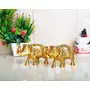 KridayKraft Metal Elephant Statue Small Size Gold Polish 2 pcs Set for Your HomeOffice Table Decorative & Gift ArticleAnimal Showpiece Figurines., 4 image