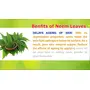 Neminath Herbal Care 100% Natural Neem Leaves (Azadirachta Indica) Powder For Pimple Free Clear Skin Naturally (100Grams), 4 image