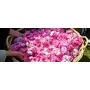 Nawab's Secret Natural Rose Water 200 ml { Pk of 2}-400ml--EdibleSkin Toner & Revitaliser-Made by Hydro Distillation of Premium Rose Through Traditional Deg-Bhapka Technique of Kannauj, 10 image