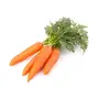 Jioo Organics Carrot Gardening Seeds (Pack of 300 Pieces), 2 image