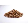 Jioo Organics Chironji Seed (Almondette Kernels) 100 gm, 4 image