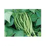 Jioo Organics | Fresh Green Beans F1 Hybrid Seeds Pole Climbing Bean Green Bean Phaseolus Vulgaris Vegetable Seeds, 2 image