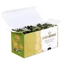 Greenbrrew Instant Green Coffee Premix for Weight Loss (Natural 20 Sachets) 60g - Easy to Use, 6 image