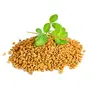 Jioo Organics Fenugreek Seed Powder for Hair Growth and Dandruff Control | Methi Dana Seed Powder | Pack of 1 | 100 Grams, 3 image