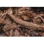 Jioo Organics Whole Dried Jatamansi and Musk Root Spikenard (50 g), 4 image
