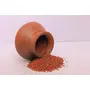 B&B Organics Red Sorghum (500 g) ( Whole Grain) (Cholam | Red Cholam | Sivappu solam | Jowar | Jola | Jawar | Jonna | Low Gi) (Lab Test Report Attached), 3 image