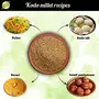B&B Organics Kodo Millet (500 g) (Whole Grain) (Varagu | Arikelu | Arika | Kodra | Harka | Kodua | Varak | Low Gi and High Fibre Than Rice | Millet Rice), 6 image