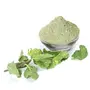 Dry Pudina Powder 200gm Dried Pudina Leaves Powder Pudina Powder for Food Mint Leaves Powder, 3 image