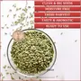 Spice Platter Premium Fennel Seeds / Moti Sauf / Whole Sauf (900g) Pack of 3 (500g+200g+200g), 4 image