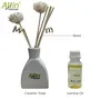 Allin Exporters Reed Diffuser With Ceramic Pot Aromatherapy Diffuser With 60Ml Aroma Oil Combo Pack (Jasmine Oil), 3 image