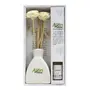 Allin Exporters Reed Diffuser With Ceramic Pot Aromatherapy Diffuser With 60Ml Aroma Oil Combo Pack (Jasmine Oil), 5 image