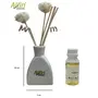 Allin Exporters Reed Diffuser With Ceramic Pot Aromatherapy Diffuser With 60Ml Aroma Oil Combo Pack (Jasmine Oil), 2 image