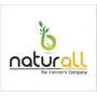 B Naturall Jamun Seeds powder for Diabetes | Sugar Balance - 500 GM X 2 = 1 KG By B Naturall, 7 image