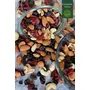 Evergreen Farms Natural Deluxe Healthy Dry Fruits Nuts and International Healthy Berries Combo Pack in Pet Jar (250 Grams Each-500 Grams Total), 3 image
