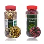 Evergreen Farms Natural Deluxe Healthy Dry Fruits Nuts and International Healthy Berries Combo Pack in Pet Jar (250 Grams Each-500 Grams Total)