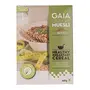 GAIA Crunchy Muesli Combo Pack Fruit and Nut 400 gm + Diet Sugar Free 400 gm (Super Saver Pack), 3 image