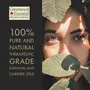 Greenwood Essential Pure Curry Leaf Powder (Murraya koenigii) Organic Certified 100% Natural Therapeutic Grade 200gm (7.05 oz), 2 image