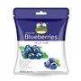 JEWEL FARMER American Dried Blueberries Organic & Natural Ready to Eat (20g)