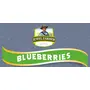 JEWEL FARMER American Dried Blueberries Organic & Natural Ready to Eat (500g), 6 image