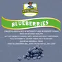 JEWEL FARMER American Dried Blueberries Organic & Natural Ready to Eat (20g), 4 image