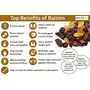NATURE YARD Raisins / kismis / kishmish dry fruit - 500 gm, 4 image