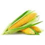 Neotea Organic Corn Maize Rava 500G, 7 image
