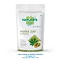 NATURE'S GIFT - FOR THOSE WHO CARE'S Papaya Leaf Powder (150 g), 5 image