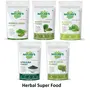 NATURE'S GIFT - FOR THOSE WHO CARE'S Barley Grass Powder - 100 GM, 3 image