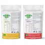 NATURE'S GIFT - FOR THOSE WHO CARE'S Mango Powder & Watermelon Fruit Powder - 100 GM Each (Super Saver Combo Pack), 2 image