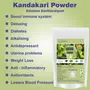 Neotea Kantakari Or Solanum Xanthocarpum Powder 1 Kg, 2 image