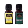 The Pink Knot Lemongrass & Eucallyptus set of two aromatic fragrant diffuser oil (15ml each)