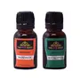 The Pink Knot Mandarin & Eucalyptus set of two aromatic fragrant diffuser oil (15ml each)