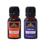 The Pink Knot Mandarin & Sea Breeze set of two aromatic fragrant diffuser oil (15ml each)